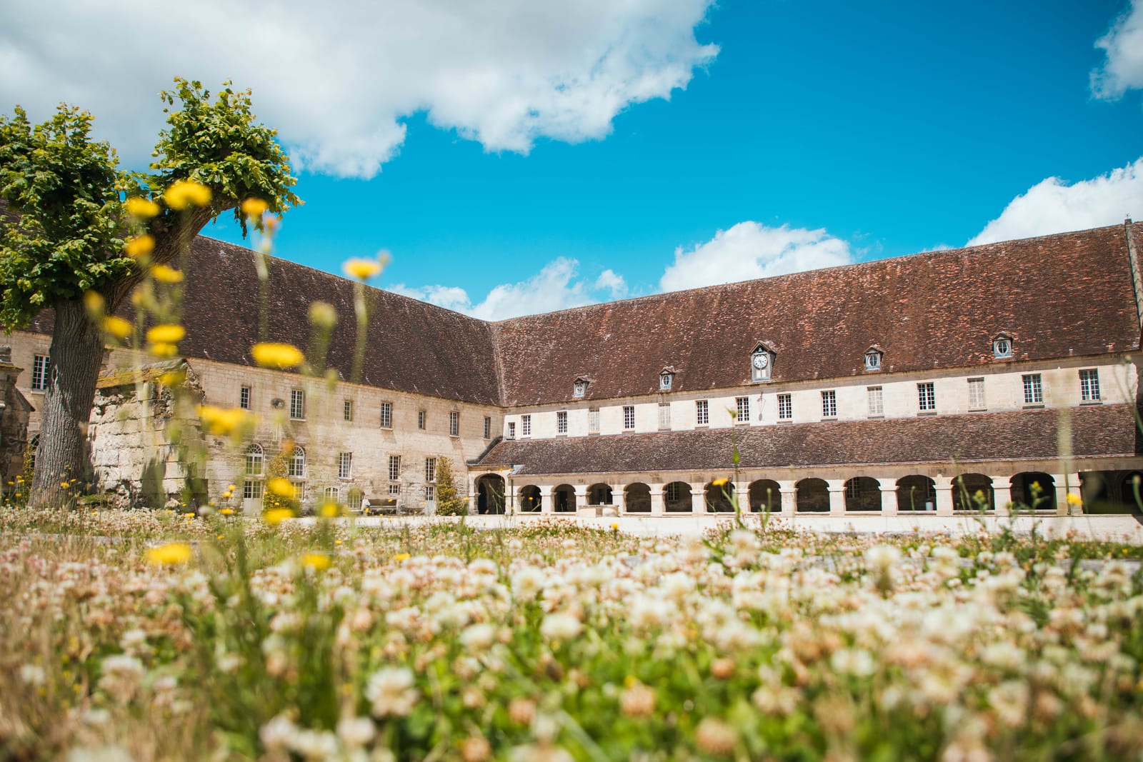 Vue du cloître fleuri de l'Abbaye du Moncel en hiver, ciel bleu et herbe parsemée de fleurs, mariage au Abbaye Royale du Moncel, par Jean-Baptiste Argyre (Jaysphotography)
