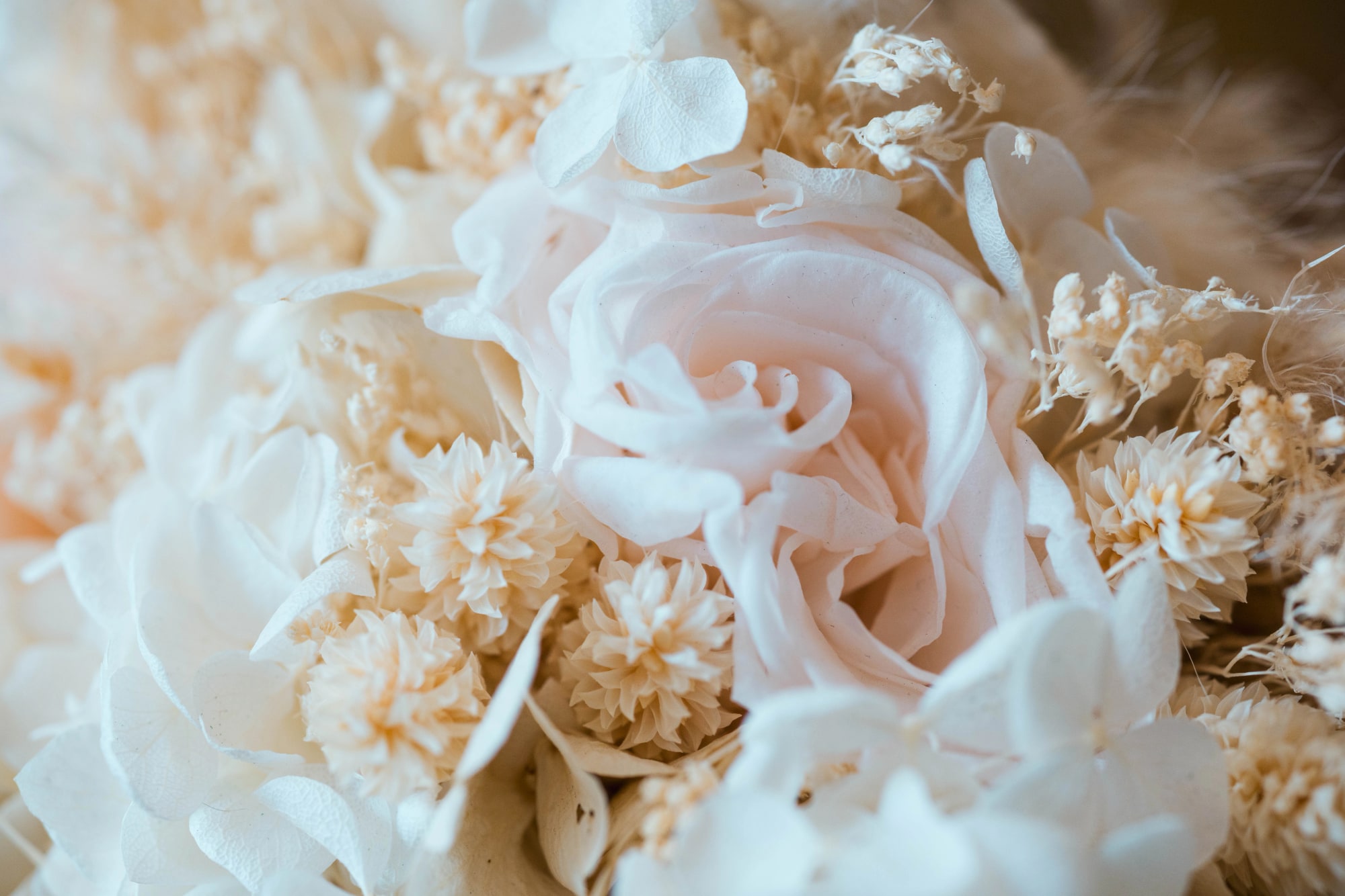 Détail des fleurs séchées crème du bouquet de la mariée, mariage au Buironfosse (Aisne), par Jean-Baptiste Argyre (Jaysphotography)