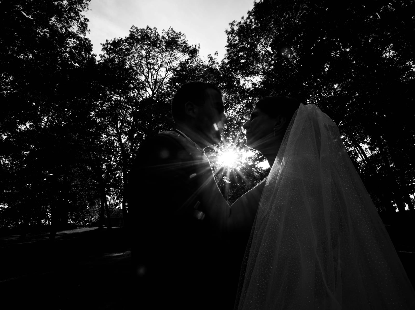 Silhouettes des mariés en noir et blanc dans le contre-jour des arbres, mariage au Château des Granges, par Jean-Baptiste Argyre (Jaysphotography)