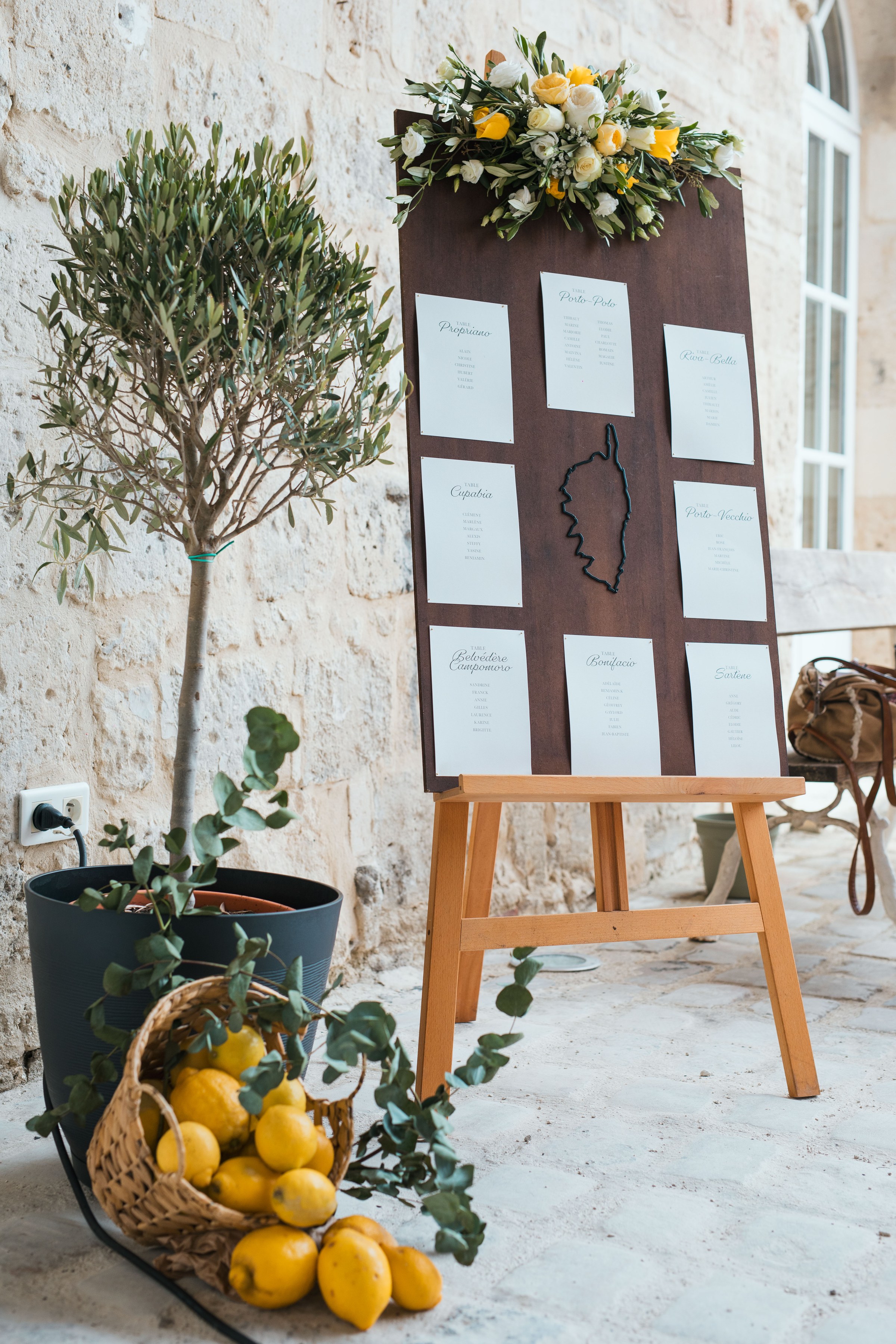 Marine & Thibaut, Domaine de Brion 2