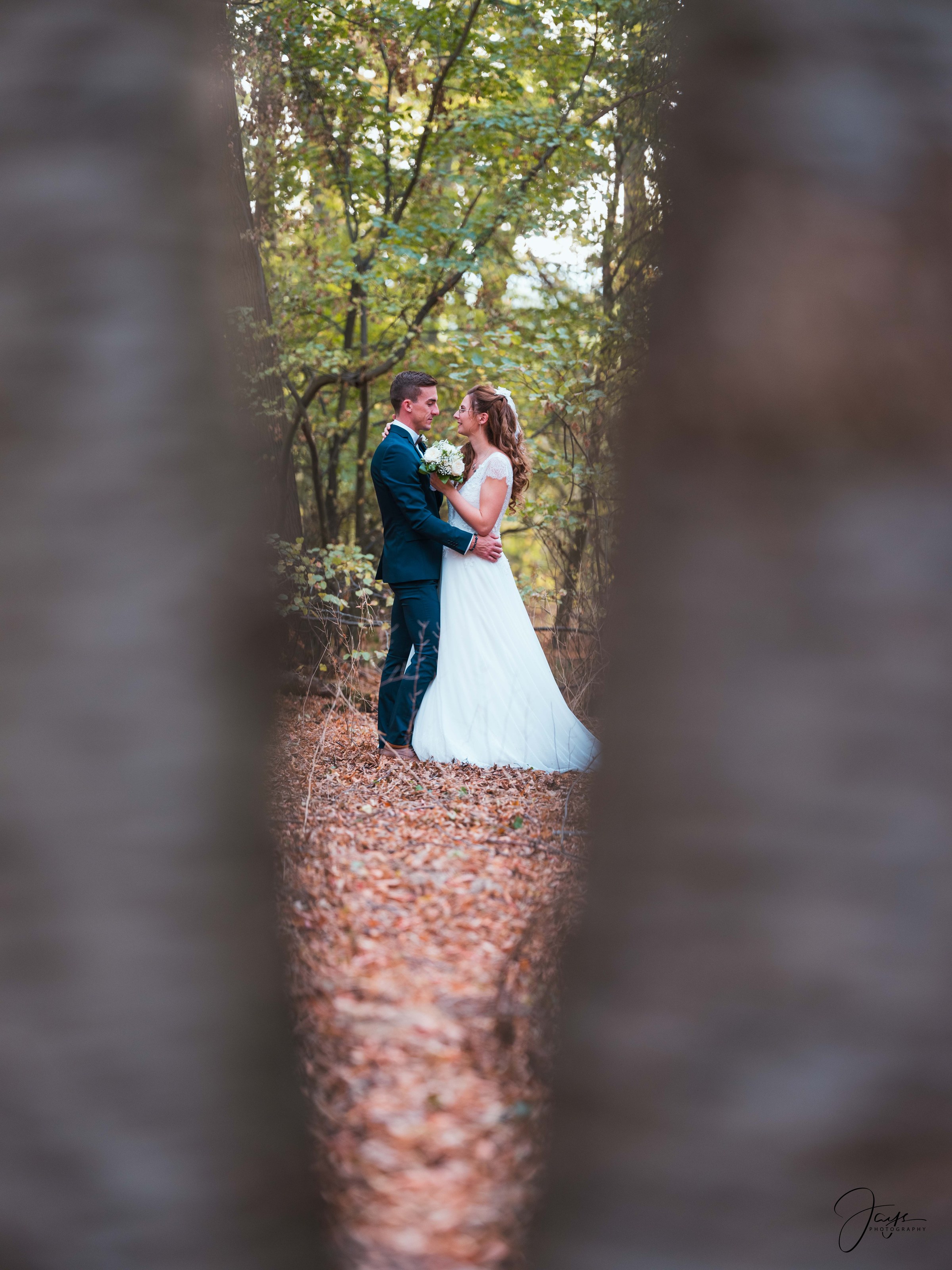 Alyson & Vincent, Forêt de Chantilly 3