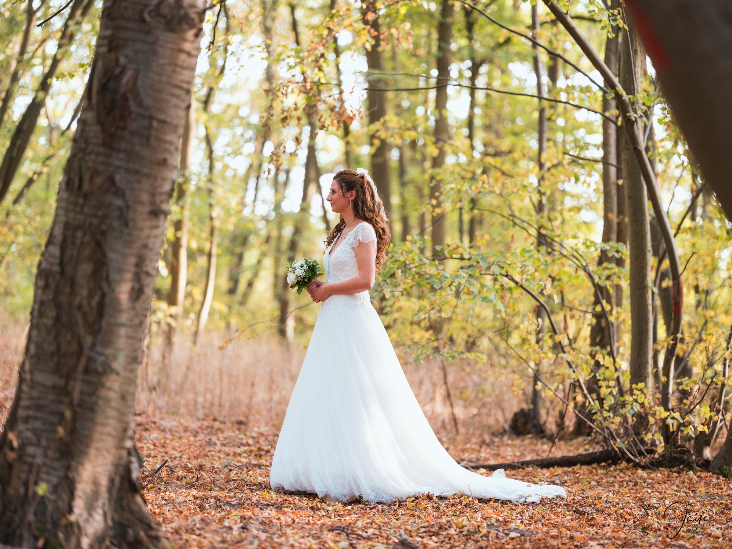 Alyson & Vincent, Forêt de Chantilly 4