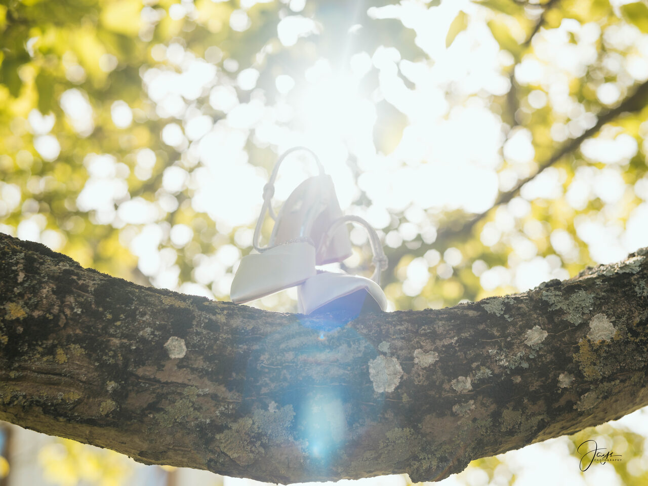 Photographe de mariage Domaine de Brunel