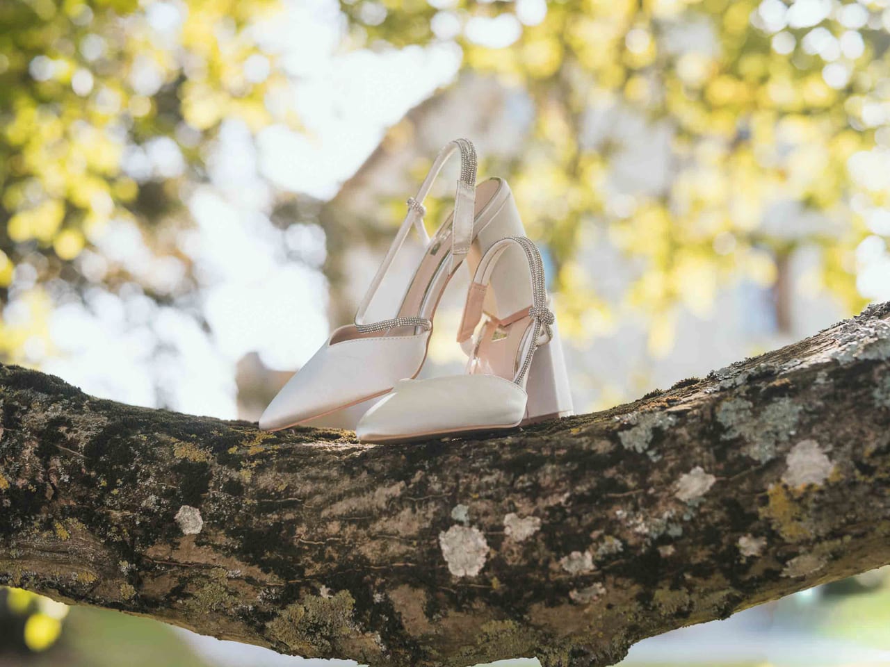 Photographe de mariage au Ferme de Maubuisson — Ferme de Maubuisson